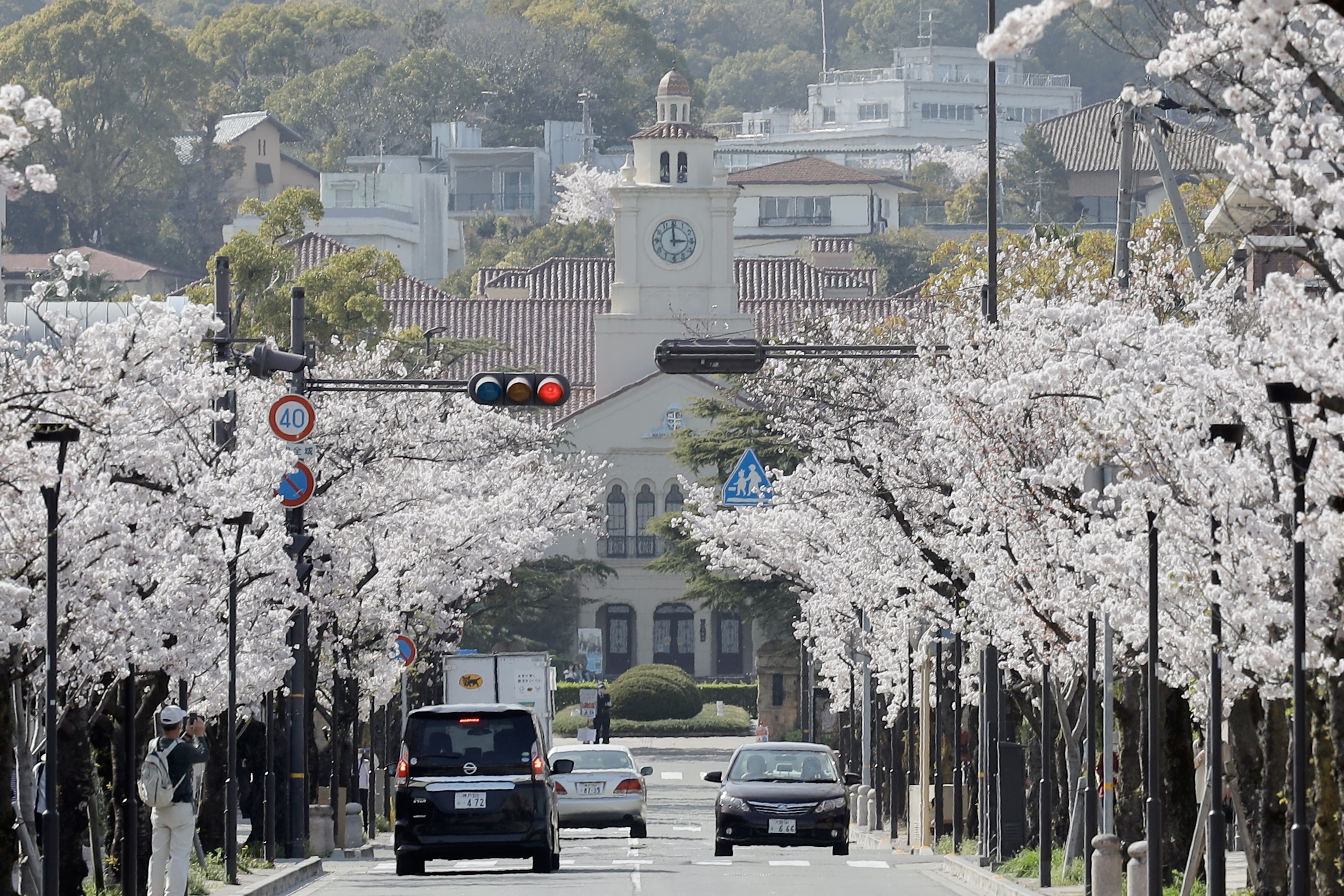 西宮上ケ原キャンパス 桜が満開 関西学院大学新聞 西宮上ケ原キャンパス 桜が満開 関西学院大学新聞