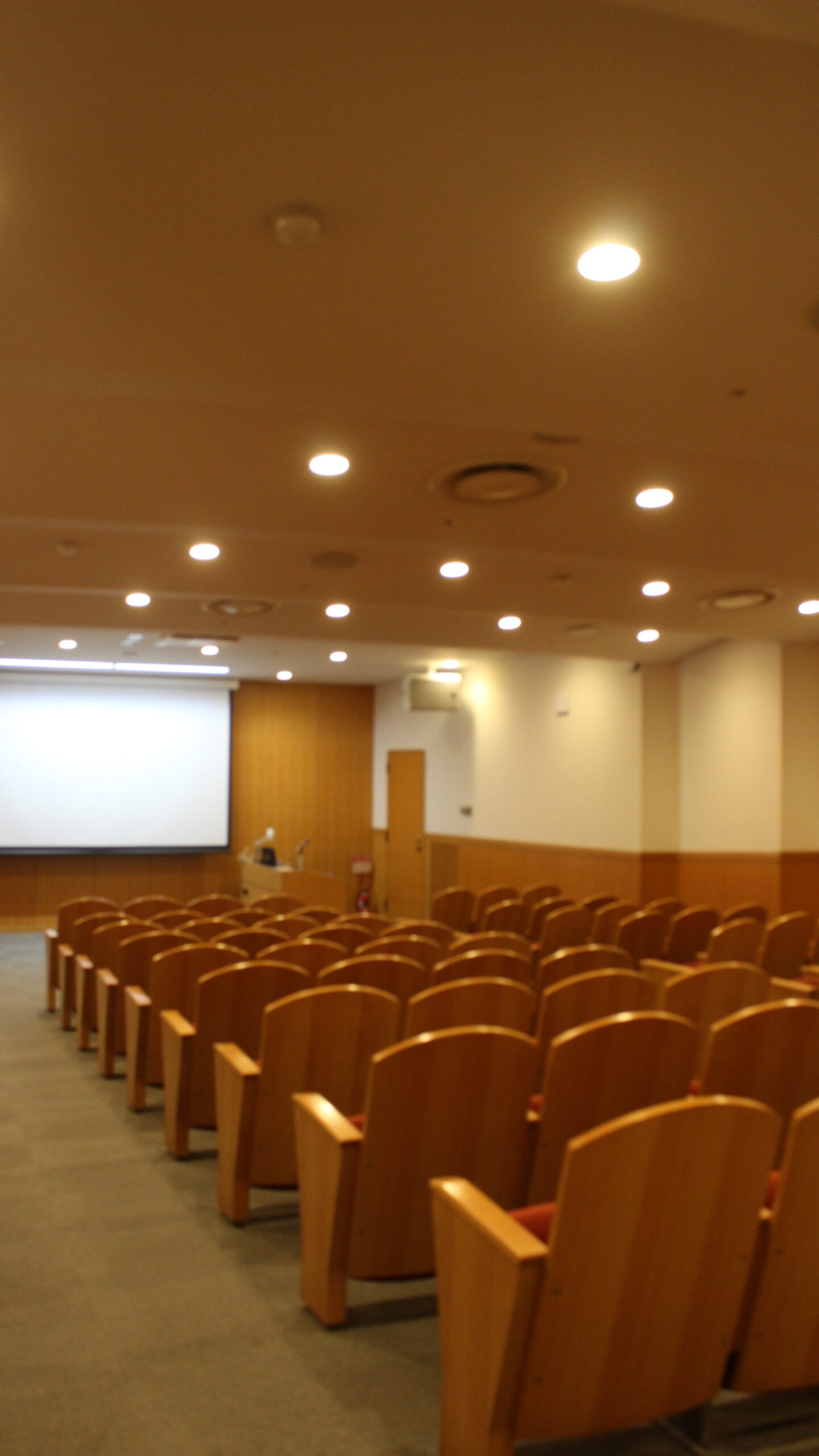 映画体験を他者と共有 「Library cinema」 | 関西学院大学新聞